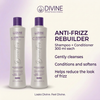 Diseño Divine Professional Anti-Frizz de 300 ml en inglés