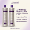 Diseño Divine Professional Anti-Frizz Rebuilder en inglés
