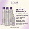 Diseño Divine Professional Kit Anti-Frizz de 4 productos en inglés
